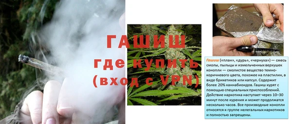 ПСИЛОЦИБИНОВЫЕ ГРИБЫ Весьегонск