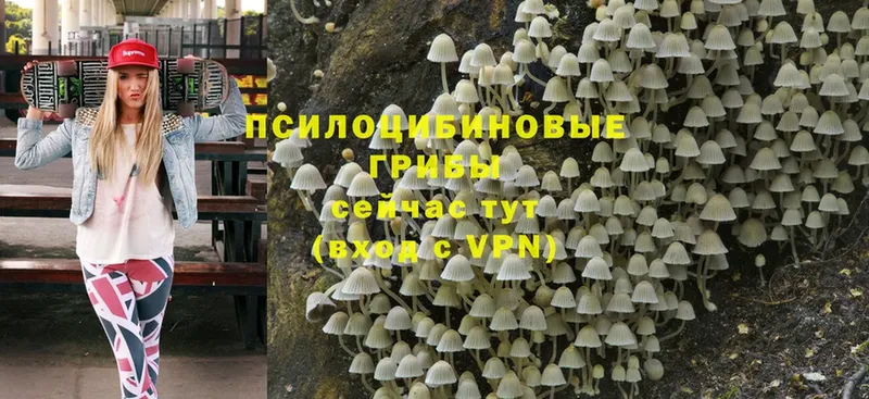 Псилоцибиновые грибы Magic Shrooms  Красноуральск 